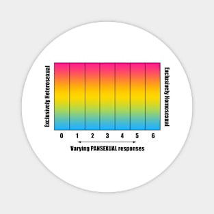 Bi+ Kinsey Scale with Pansexual Flag (Black text) Magnet